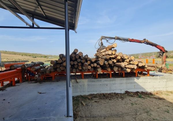 Proiect european debitare lemn subtiere.